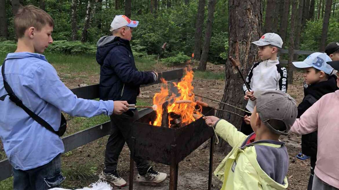 День пікніка